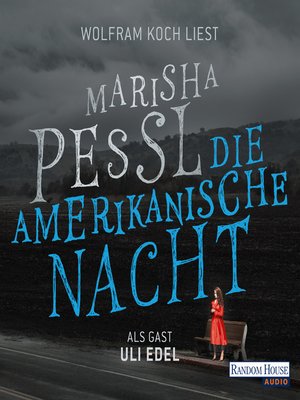 cover image of Die amerikanische Nacht